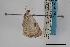  ( - USNM ENT 02001361)  @11 [ ] Unspecified (default): All Rights Reserved  Unspecified Unspecified