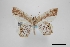  ( - USNM ENT 02001404)  @11 [ ] Unspecified (default): All Rights Reserved  Unspecified Unspecified