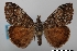  ( - USNM ENT 02004404)  @11 [ ] Unspecified (default): All Rights Reserved  Unspecified Unspecified