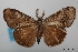  ( - USNM ENT 02004530)  @11 [ ] Unspecified (default): All Rights Reserved  Unspecified Unspecified