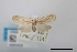  ( - USNM ENT 02004535)  @11 [ ] Unspecified (default): All Rights Reserved  Unspecified Unspecified
