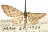  ( - CCDB-20271-E02)  @11 [ ] CreativeCommons - Attribution (2013) CBG Photography Group Centre for Biodiversity Genomics