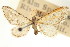  ( - CCDB-20271-E09)  @11 [ ] CreativeCommons - Attribution (2013) CBG Photography Group Centre for Biodiversity Genomics