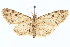  ( - CCDB-20271-F10)  @11 [ ] CreativeCommons - Attribution (2013) CBG Photography Group Centre for Biodiversity Genomics