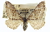  ( - CCDB-20272-B08)  @11 [ ] CreativeCommons - Attribution (2013) CBG Photography Group Centre for Biodiversity Genomics