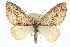 ( - CCDB-20272-C09)  @11 [ ] CreativeCommons - Attribution (2013) CBG Photography Group Centre for Biodiversity Genomics