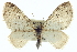  ( - CCDB-20272-D04)  @14 [ ] CreativeCommons - Attribution (2013) CBG Photography Group Centre for Biodiversity Genomics