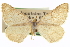  ( - CCDB-20272-F11)  @11 [ ] CreativeCommons - Attribution (2013) CBG Photography Group Centre for Biodiversity Genomics