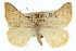  ( - CCDB-20272-F12)  @11 [ ] CreativeCommons - Attribution (2013) CBG Photography Group Centre for Biodiversity Genomics