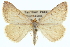  ( - CCDB-20272-G01)  @11 [ ] CreativeCommons - Attribution (2013) CBG Photography Group Centre for Biodiversity Genomics