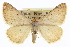  ( - CCDB-20272-G03)  @11 [ ] CreativeCommons - Attribution (2013) CBG Photography Group Centre for Biodiversity Genomics