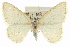  ( - CCDB-20272-G11)  @15 [ ] CreativeCommons - Attribution (2013) CBG Photography Group Centre for Biodiversity Genomics