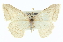  ( - CCDB-20272-G12)  @15 [ ] CreativeCommons - Attribution (2013) CBG Photography Group Centre for Biodiversity Genomics