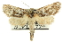  ( - CCDB-19575-G08)  @14 [ ] CreativeCommons - Attribution (2012) CBG Photography Group Centre for Biodiversity Genomics