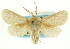  ( - CCDB-19576-B10)  @11 [ ] CreativeCommons - Attribution (2012) CBG Photography Group Centre for Biodiversity Genomics