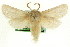  ( - CCDB-19576-B11)  @11 [ ] CreativeCommons - Attribution (2012) CBG Photography Group Centre for Biodiversity Genomics