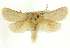 ( - CCDB-19576-C01)  @11 [ ] CreativeCommons - Attribution (2012) CBG Photography Group Centre for Biodiversity Genomics