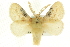  ( - CCDB-19577-C08)  @14 [ ] CreativeCommons - Attribution (2012) CBG Photography Group Centre for Biodiversity Genomics