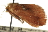  ( - CCDB-19577-E10)  @13 [ ] CreativeCommons - Attribution (2012) CBG Photography Group Centre for Biodiversity Genomics