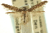  ( - CCDB-19578-A04)  @11 [ ] CreativeCommons - Attribution (2012) CBG Photography Group Centre for Biodiversity Genomics