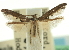  ( - CCDB-19578-A05)  @11 [ ] CreativeCommons - Attribution (2012) CBG Photography Group Centre for Biodiversity Genomics