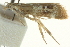  ( - CCDB-19579-H03)  @11 [ ] CreativeCommons - Attribution (2012) CBG Photography Group Centre for Biodiversity Genomics