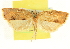  ( - CCDB-19581-C07)  @11 [ ] CreativeCommons - Attribution (2012) CBG Photography Group Centre for Biodiversity Genomics