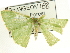  ( - CCDB-19582-D08)  @12 [ ] CreativeCommons - Attribution (2012) CBG Photography Group Centre for Biodiversity Genomics
