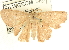  ( - CCDB-19582-E04)  @12 [ ] CreativeCommons - Attribution (2012) CBG Photography Group Centre for Biodiversity Genomics