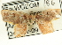 ( - CCDB-19582-E07)  @12 [ ] CreativeCommons - Attribution (2012) CBG Photography Group Centre for Biodiversity Genomics
