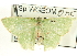  ( - CCDB-19582-E11)  @12 [ ] CreativeCommons - Attribution (2012) CBG Photography Group Centre for Biodiversity Genomics