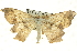  ( - CCDB-19583-B04)  @13 [ ] CreativeCommons - Attribution (2012) CBG Photography Group Centre for Biodiversity Genomics