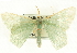 ( - CCDB-19583-C12)  @13 [ ] CreativeCommons - Attribution (2012) CBG Photography Group Centre for Biodiversity Genomics
