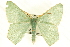  ( - CCDB-19583-D01)  @14 [ ] CreativeCommons - Attribution (2012) CBG Photography Group Centre for Biodiversity Genomics