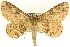 ( - CCDB-19583-D12)  @11 [ ] CreativeCommons - Attribution (2012) CBG Photography Group Centre for Biodiversity Genomics
