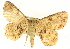  ( - CCDB-19583-E02)  @11 [ ] CreativeCommons - Attribution (2012) CBG Photography Group Centre for Biodiversity Genomics