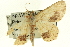  ( - CCDB-19583-E12)  @13 [ ] CreativeCommons - Attribution (2012) CBG Photography Group Centre for Biodiversity Genomics