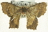  ( - CCDB-19583-F10)  @14 [ ] CreativeCommons - Attribution (2012) CBG Photography Group Centre for Biodiversity Genomics