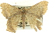  ( - CCDB-19584-C07)  @14 [ ] CreativeCommons - Attribution (2012) CBG Photography Group Centre for Biodiversity Genomics