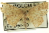  ( - CCDB-19584-G08)  @13 [ ] CreativeCommons - Attribution (2012) CBG Photography Group Centre for Biodiversity Genomics