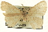  ( - CCDB-19584-G11)  @12 [ ] CreativeCommons - Attribution (2012) CBG Photography Group Centre for Biodiversity Genomics