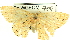  ( - CCDB-19585-F05)  @13 [ ] CreativeCommons - Attribution (2012) CBG Photography Group Centre for Biodiversity Genomics