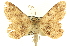  ( - CCDB-19585-H02)  @11 [ ] CreativeCommons - Attribution (2012) CBG Photography Group Centre for Biodiversity Genomics