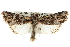  ( - CCDB-20285-A09)  @14 [ ] CreativeCommons - Attribution (2013) CBG Photography Group Centre for Biodiversity Genomics