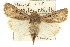  ( - CCDB-20285-F11)  @14 [ ] CreativeCommons - Attribution (2013) CBG Photography Group Centre for Biodiversity Genomics