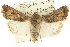  ( - CCDB-20285-F12)  @14 [ ] CreativeCommons - Attribution (2013) CBG Photography Group Centre for Biodiversity Genomics