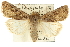  ( - CCDB-20285-G01)  @14 [ ] CreativeCommons - Attribution (2013) CBG Photography Group Centre for Biodiversity Genomics