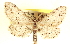  ( - CCDB-20802-A12)  @11 [ ] CreativeCommons - Attribution (2013) CBG Photography Group Centre for Biodiversity Genomics