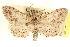  ( - CCDB-20802-B01)  @11 [ ] CreativeCommons - Attribution (2013) CBG Photography Group Centre for Biodiversity Genomics