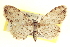  ( - CCDB-20802-B04)  @14 [ ] CreativeCommons - Attribution (2013) CBG Photography Group Centre for Biodiversity Genomics